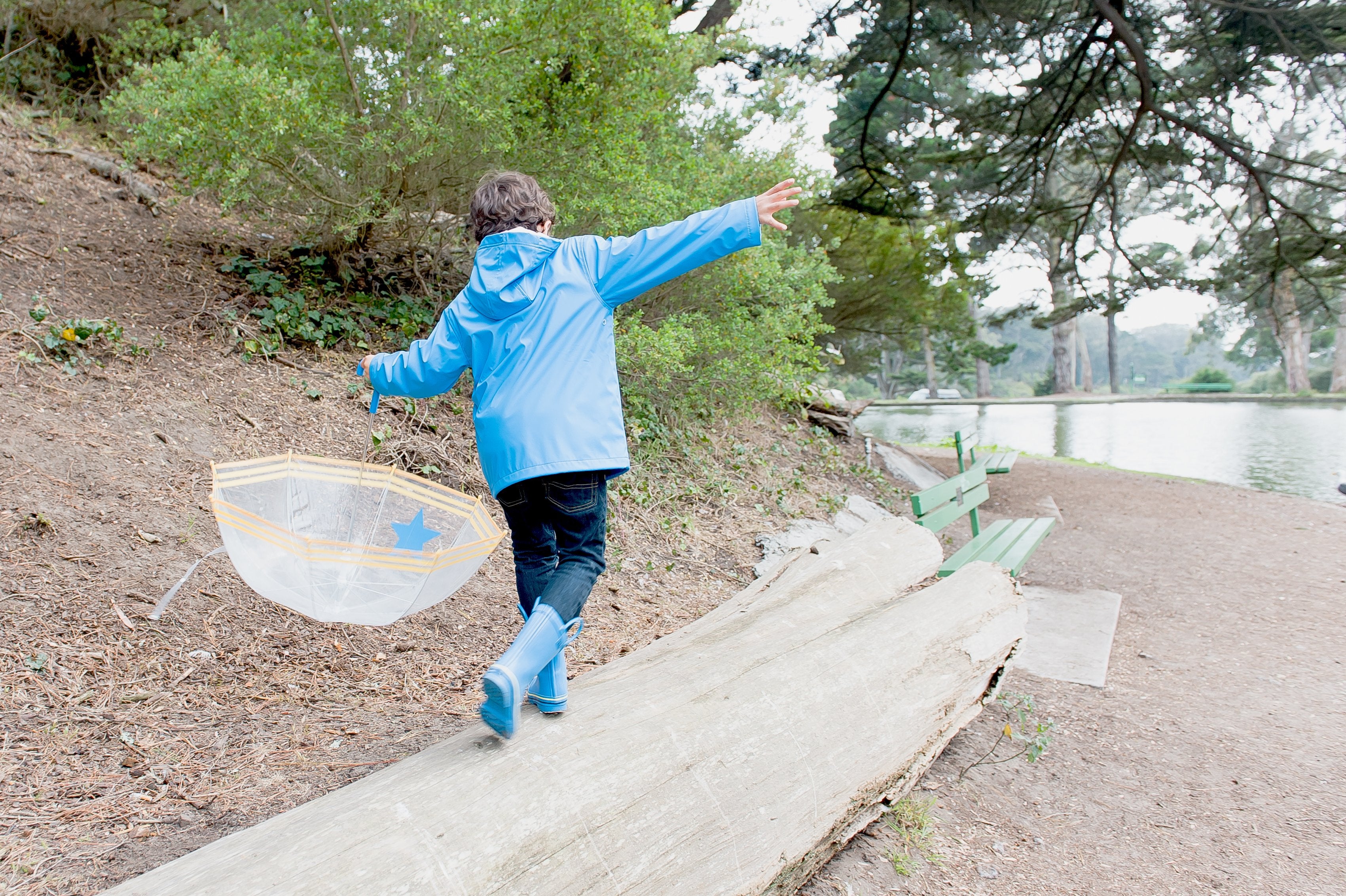 Clear Umbrella with Blue Star and Yellow Trim Pluie Pluie Clear Umbrella with Blue Star and Yellow Trim
